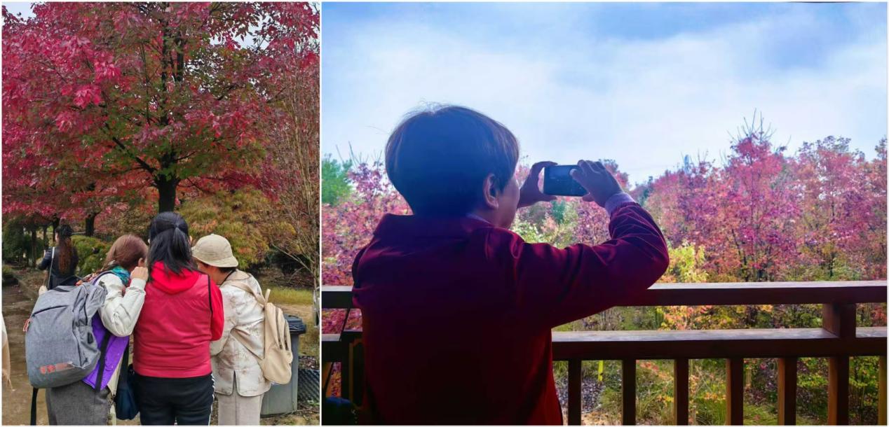 787e55b0b0e72b6a3cfa2398c006193a